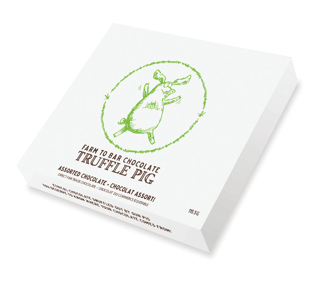 Assorted Chocolate Truffle Piglets Everyday Gift Box Truffle Pig