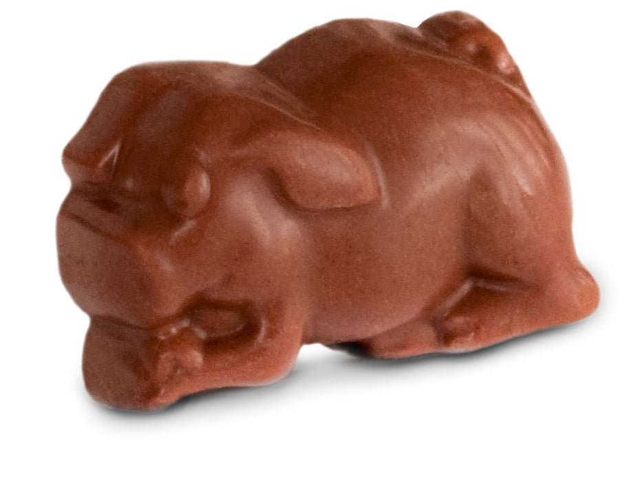 Truffle Pig Assorted Chocolate Piglets 