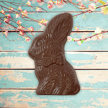 Milk Chocolate Solid Easter Bunny