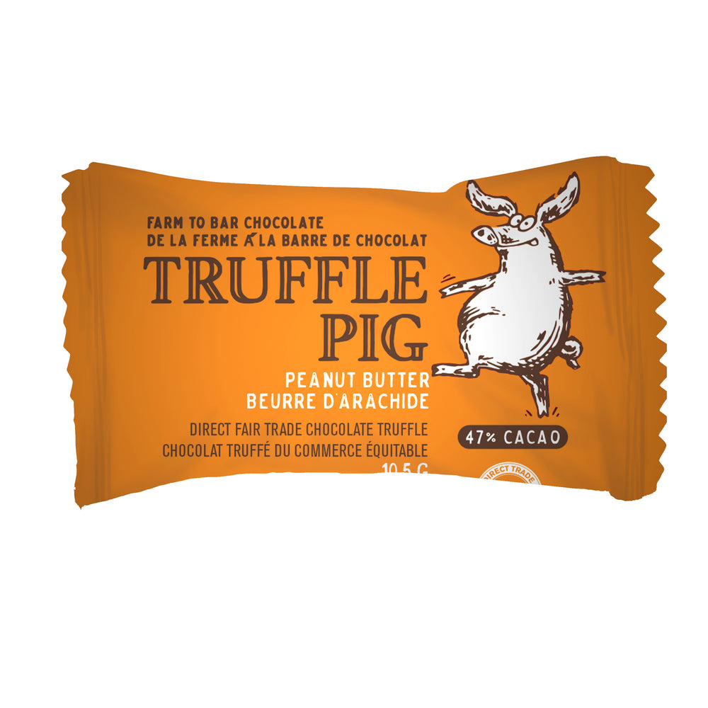 Peanut Butter Truffle Piglets - Easter Gift Box